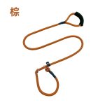 P-Rope Slip Lead 2