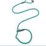 P-Rope Dog Lead 2
