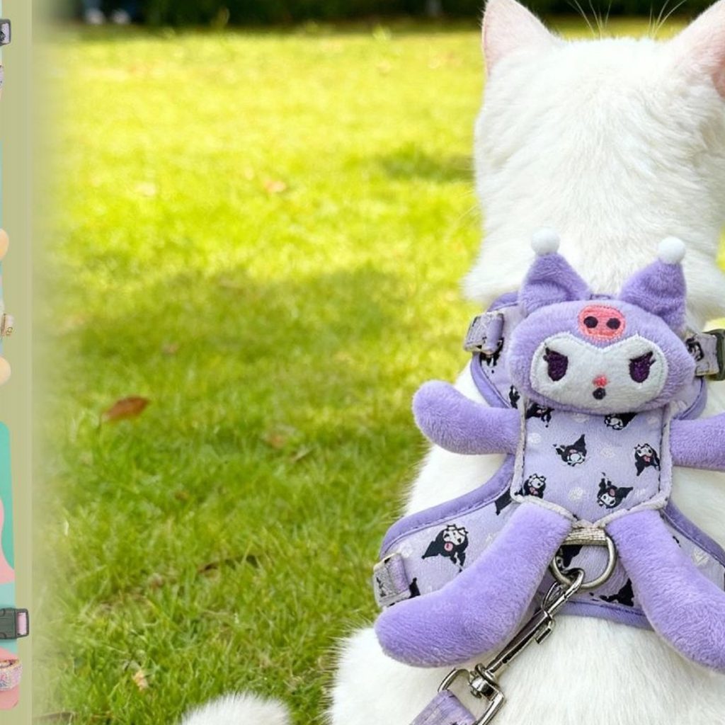 Escape-Proof Cat Harness & Leash Set
