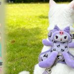 Escape-Proof Cat Harness & Leash Set 1