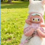 Escape-Proof Cat Harness & Leash Set 3