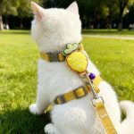 Strawberry H-Style Cat Harness 1