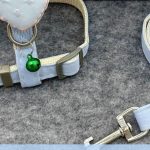 Strawberry H-Style Cat Harness 5