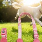 Adjustable Nylon Dog Collar Set 1