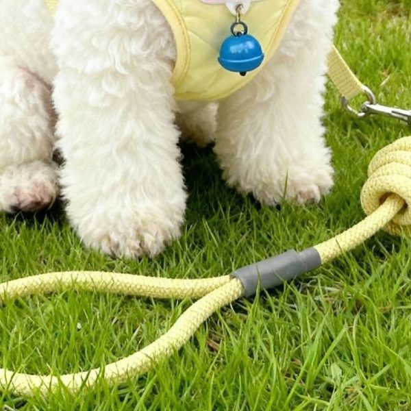 pettrail-985562323207-0