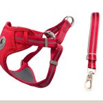 Stain-Resistant Mesh Vest Harness 2