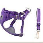 Stain-Resistant Mesh Vest Harness 3