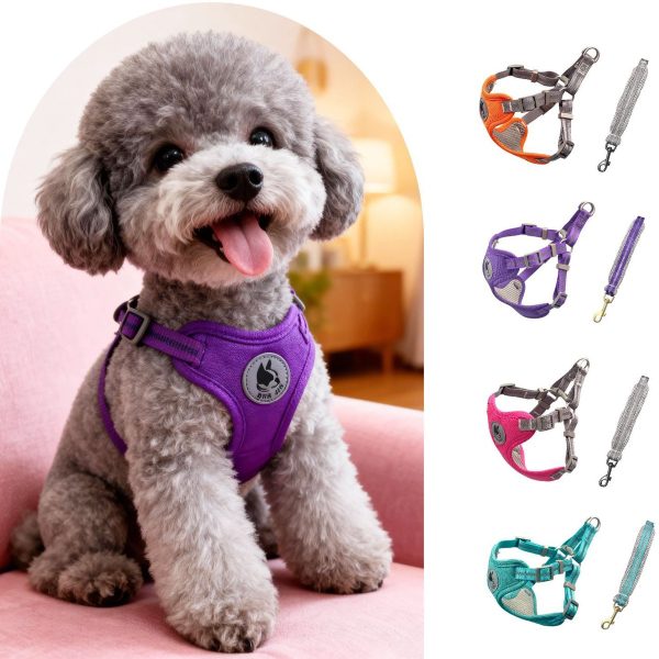 pettrail-985809964031-0