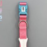 Two-Tone Buckle Collar 2