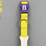 Two-Tone Buckle Collar 3