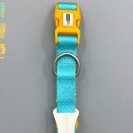 Two-Tone Buckle Collar 4