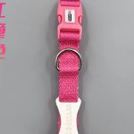 Two-Tone Buckle Collar 5