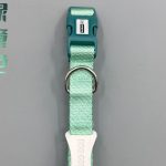 Two-Tone Buckle Collar 6