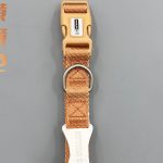 Two-Tone Buckle Collar 7