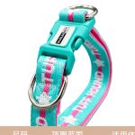 Padded Webbing Dog Collar 2
