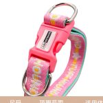 Padded Webbing Dog Collar 4