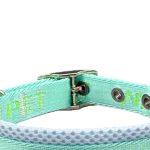Pin-Buckle Nylon Collar 2