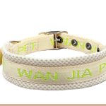 Pin-Buckle Nylon Collar 3
