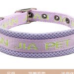 Pin-Buckle Nylon Collar 5