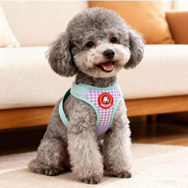 pettrail-989838244654-0