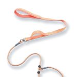 Short P-Chain Training Leash 2