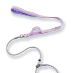 Short P-Chain Training Leash 3