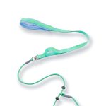 Short P-Chain Training Leash 4