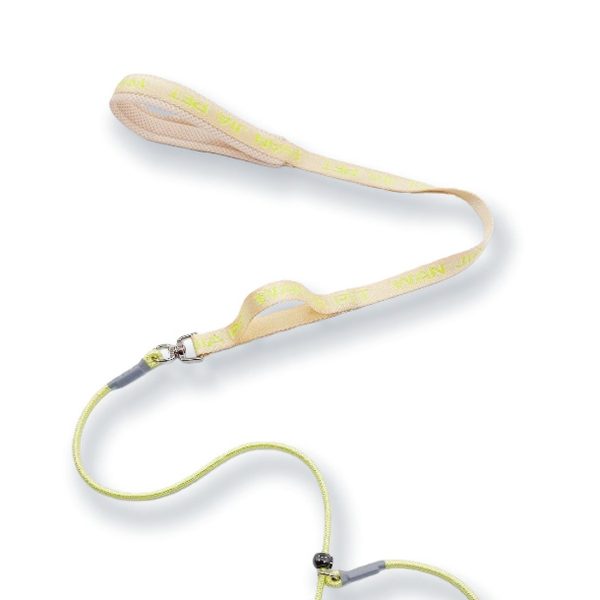 Short P-Chain Training Leash