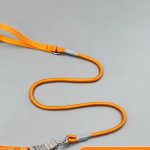No-Pull Harness & Leash Set 3