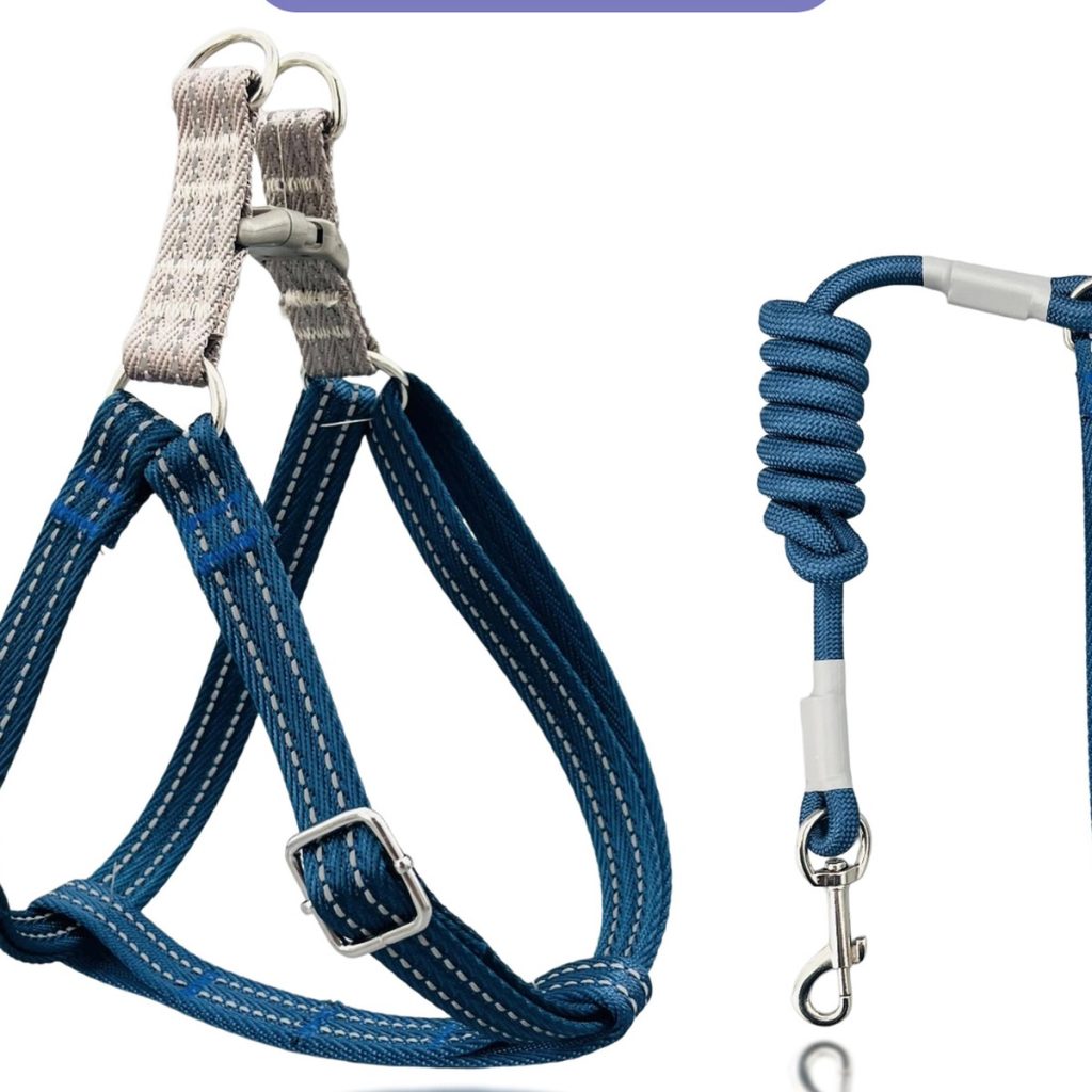 No-Pull Harness & Leash Set