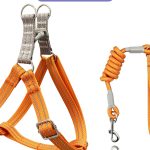 No-Pull Harness & Leash Set 2