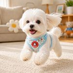 Cartoon Cat Mesh Harness, Wide Strap 3