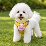Mesh Vest Harness 2