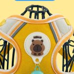 Harness & Leash Bundle 2