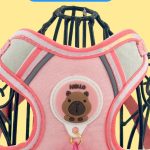 Harness & Leash Bundle 3