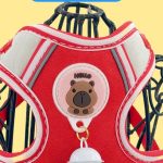 Harness & Leash Bundle 4