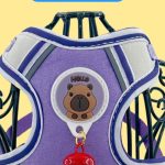 Harness & Leash Bundle 5