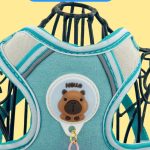 Harness & Leash Bundle 6