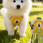 Harness & Leash Bundle 1
