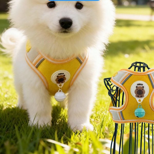 Harness & Leash Bundle