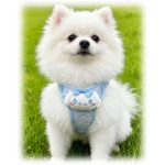 Cartoon Cat Mesh Harness, OEM 3
