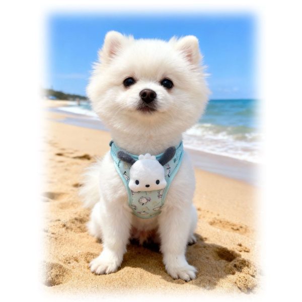 Cartoon Cat Mesh Harness, OEM Cartoon Cat Mesh Harness, OEM