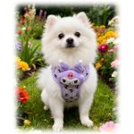 Cartoon Cat Mesh Harness, OEM 5