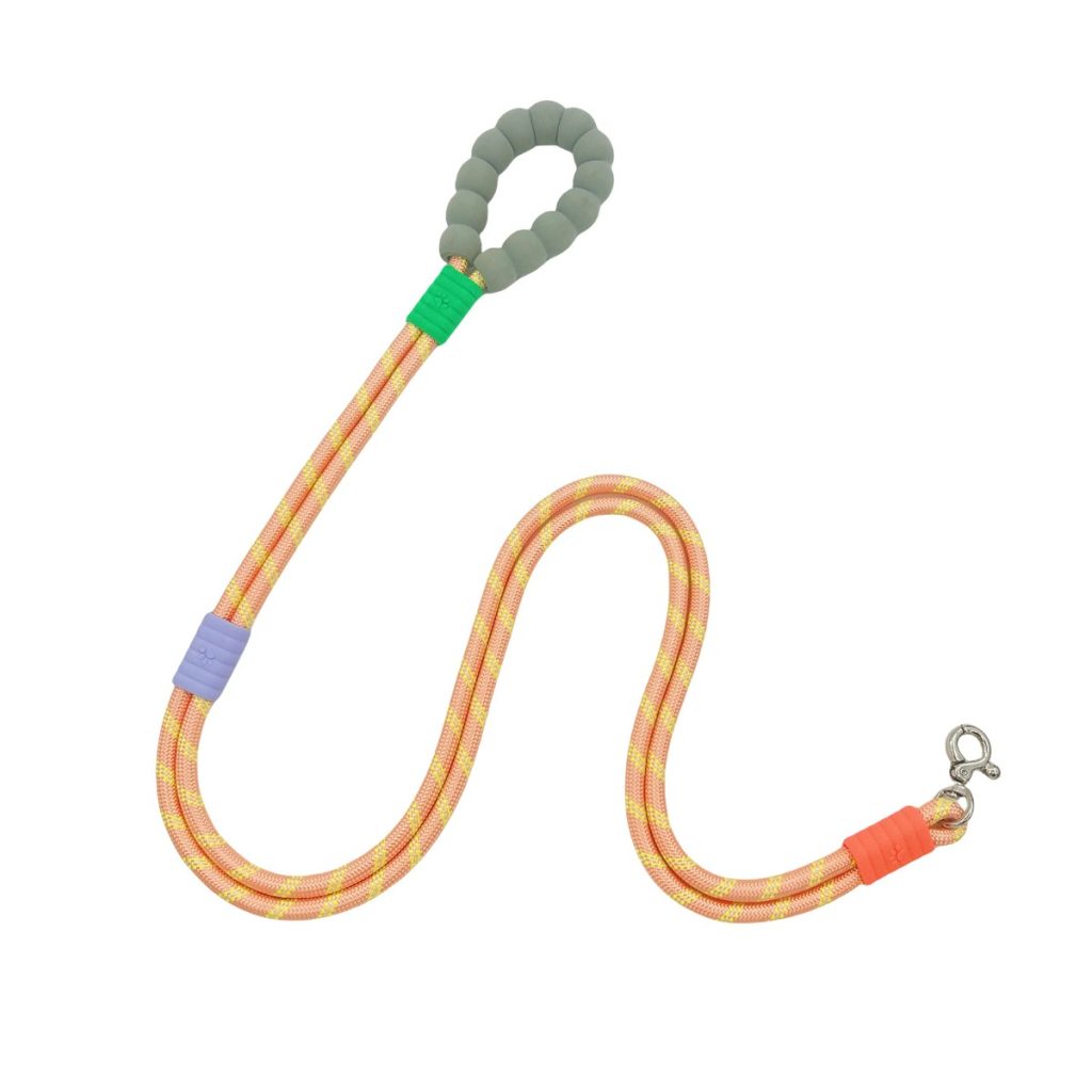 Bubble-Foam Hands-Free Leash