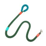 Bubble-Foam Hands-Free Leash 2