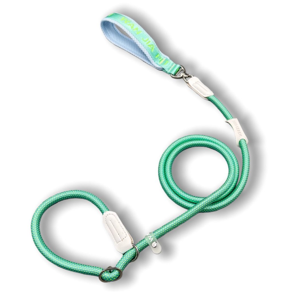 Adjustable P-Rope Training Leash