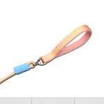 Large-Dog P-Rope Leash 4