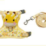 Cat Harness & Leash Set 2