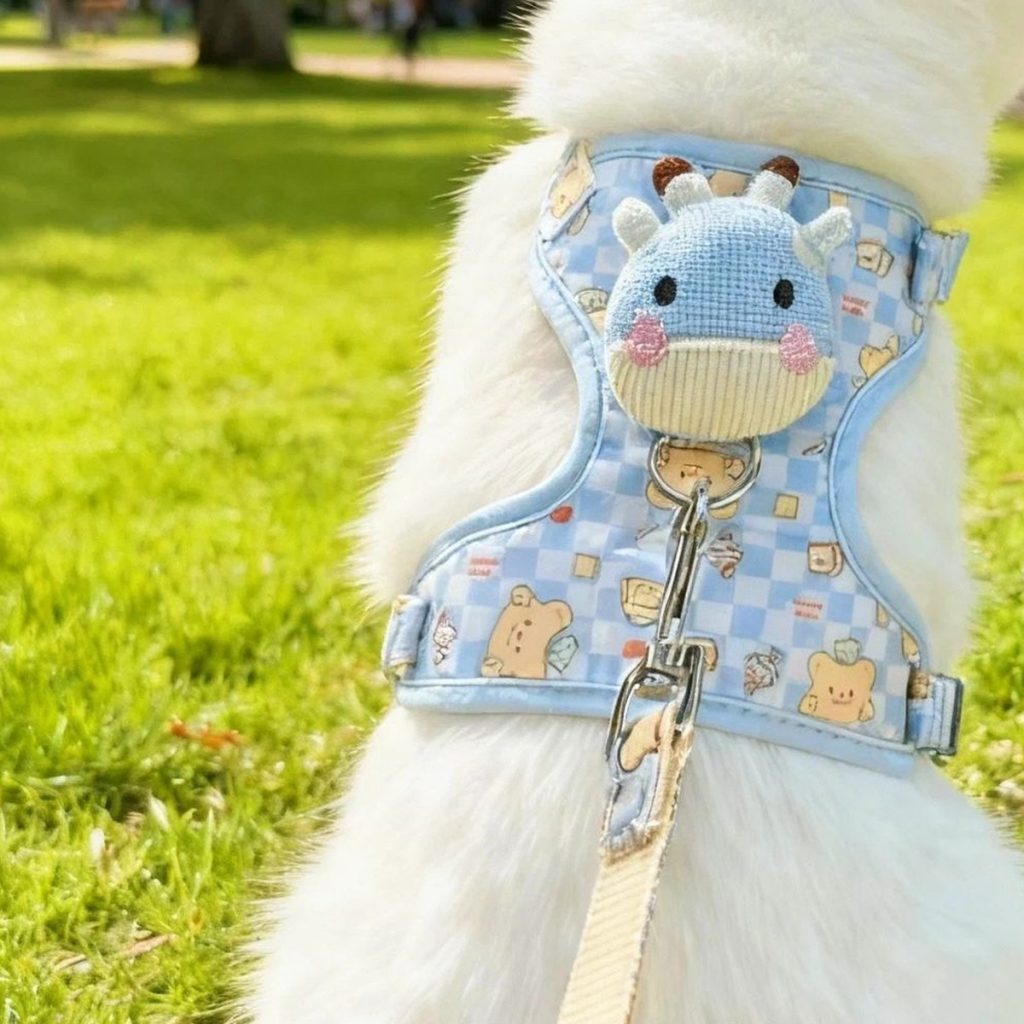 Cat Harness & Leash Set