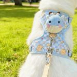 Cat Harness & Leash Set 1